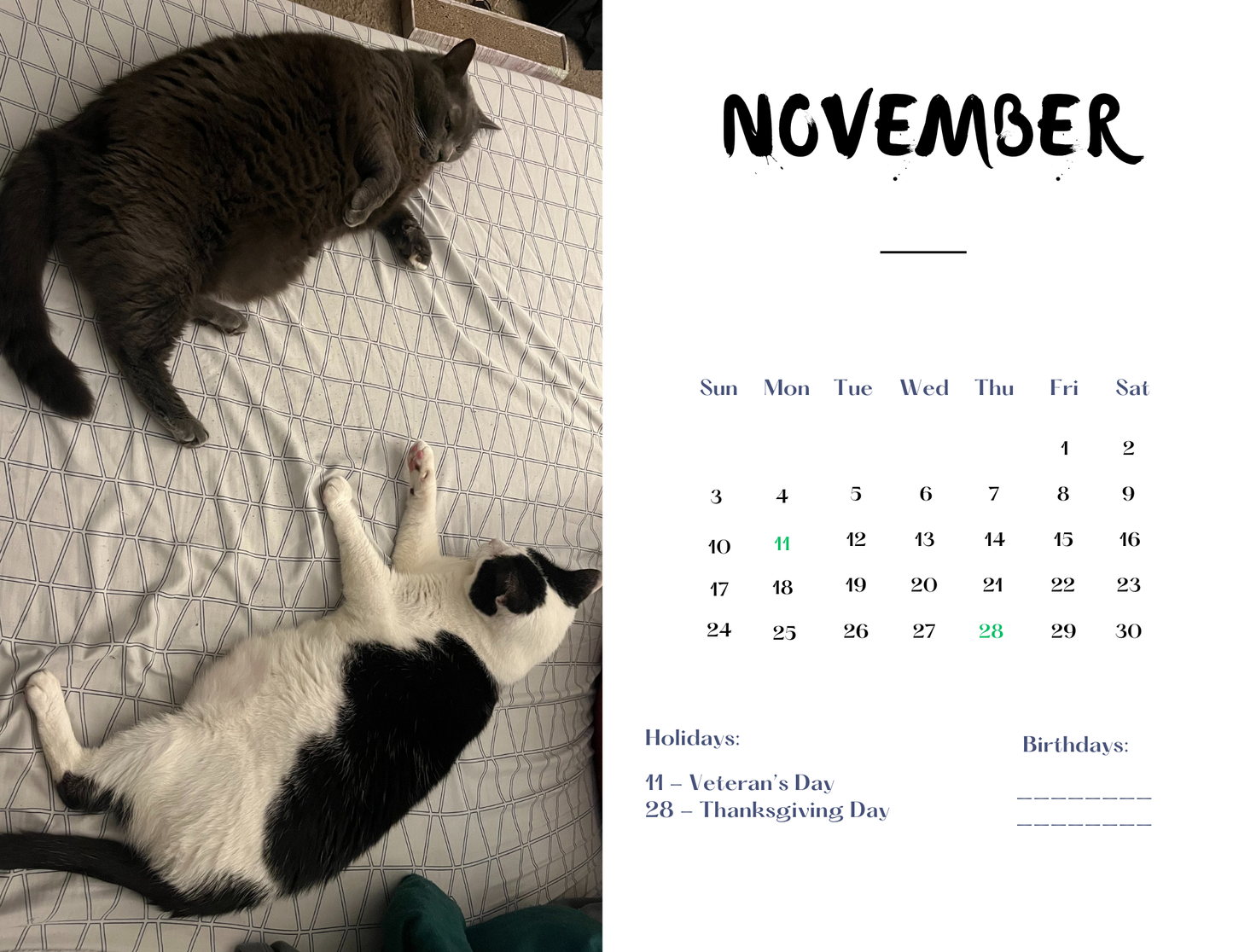 Customized Pet Calendar 2025