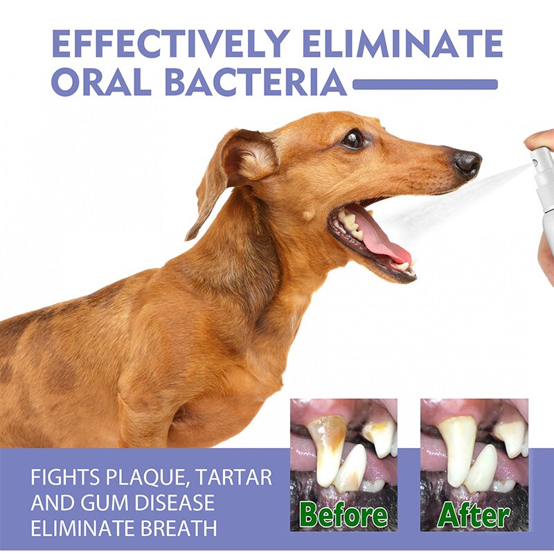 Teeth Cleaning Spray for Pet