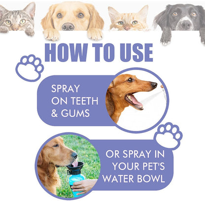 Teeth Cleaning Spray for Pet