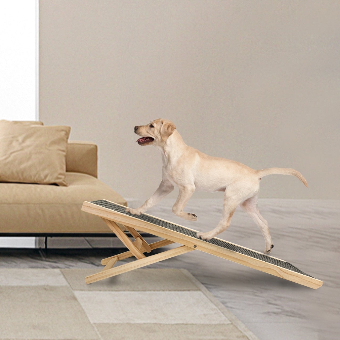 Adjustable Ramps for PETS